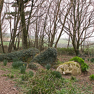 Lost gardens of Heligan